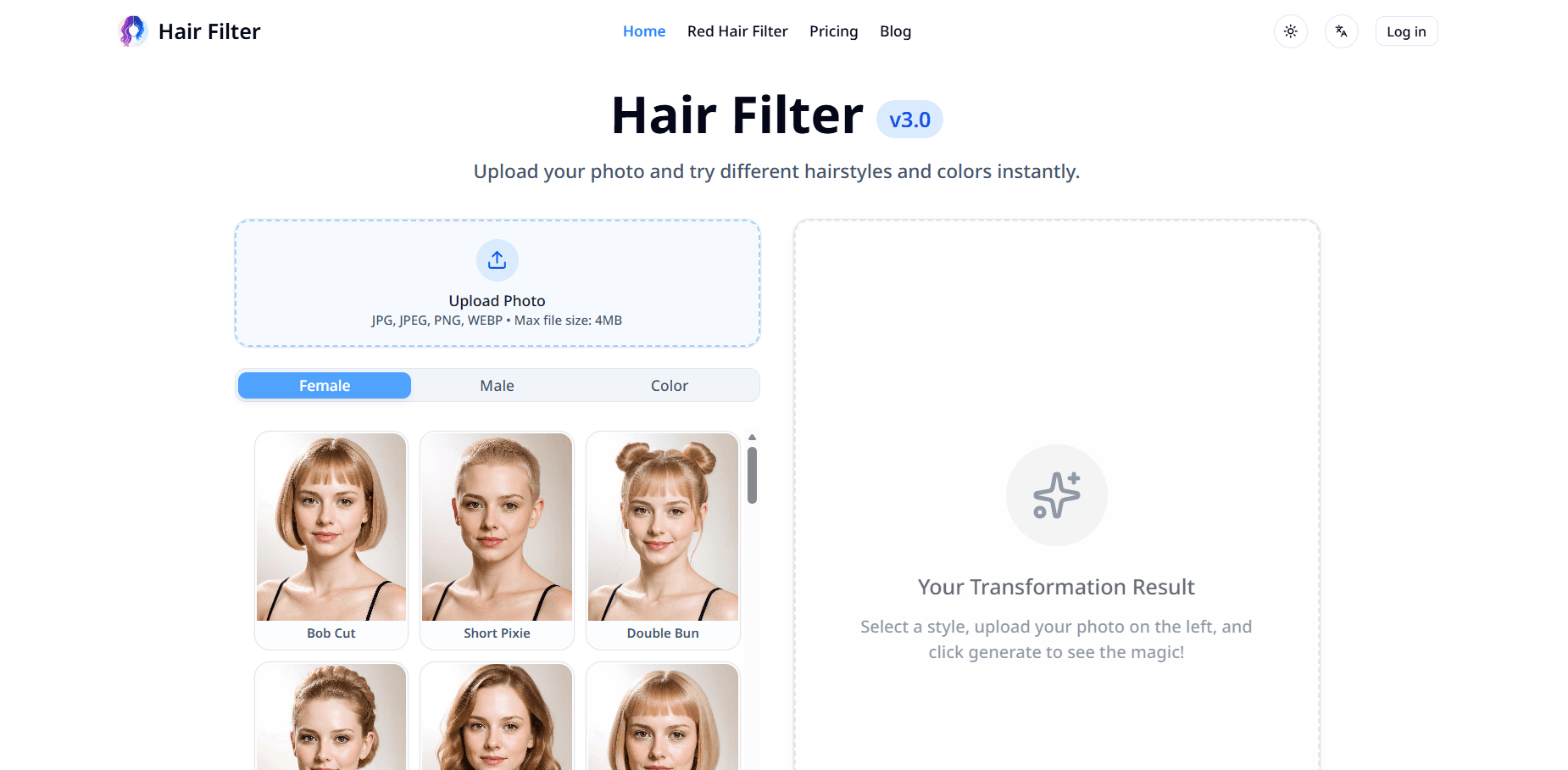 Hair Filter